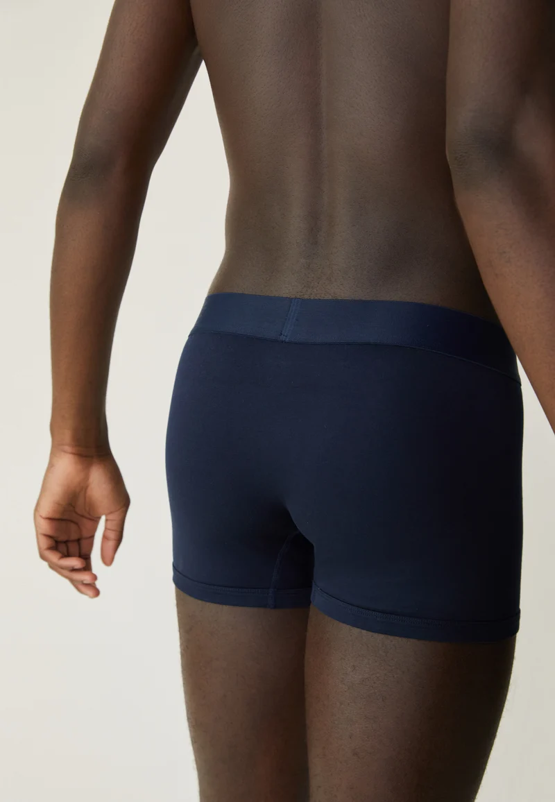 Le boxer