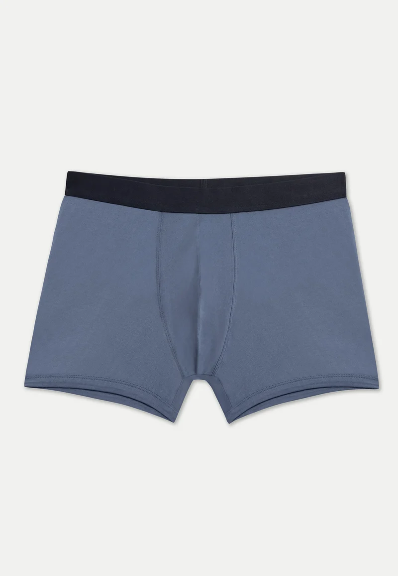 Le boxer