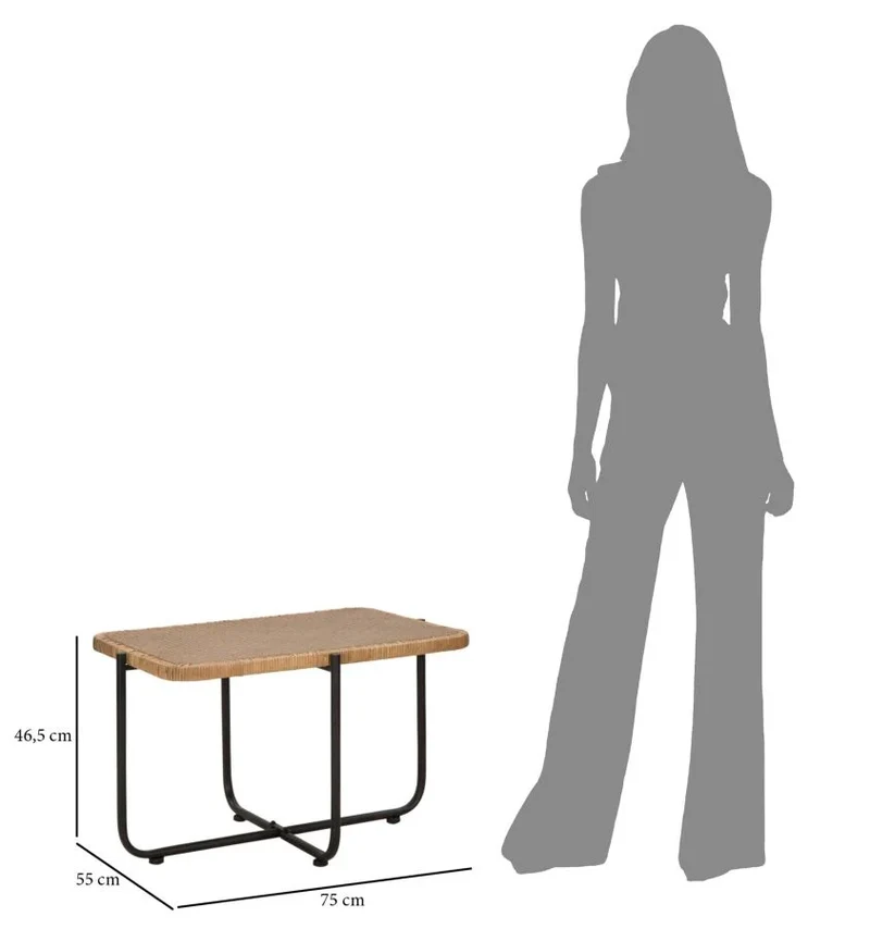 Table basse rectangulaire avec plateau en bois et structure en métal – Style Cebu