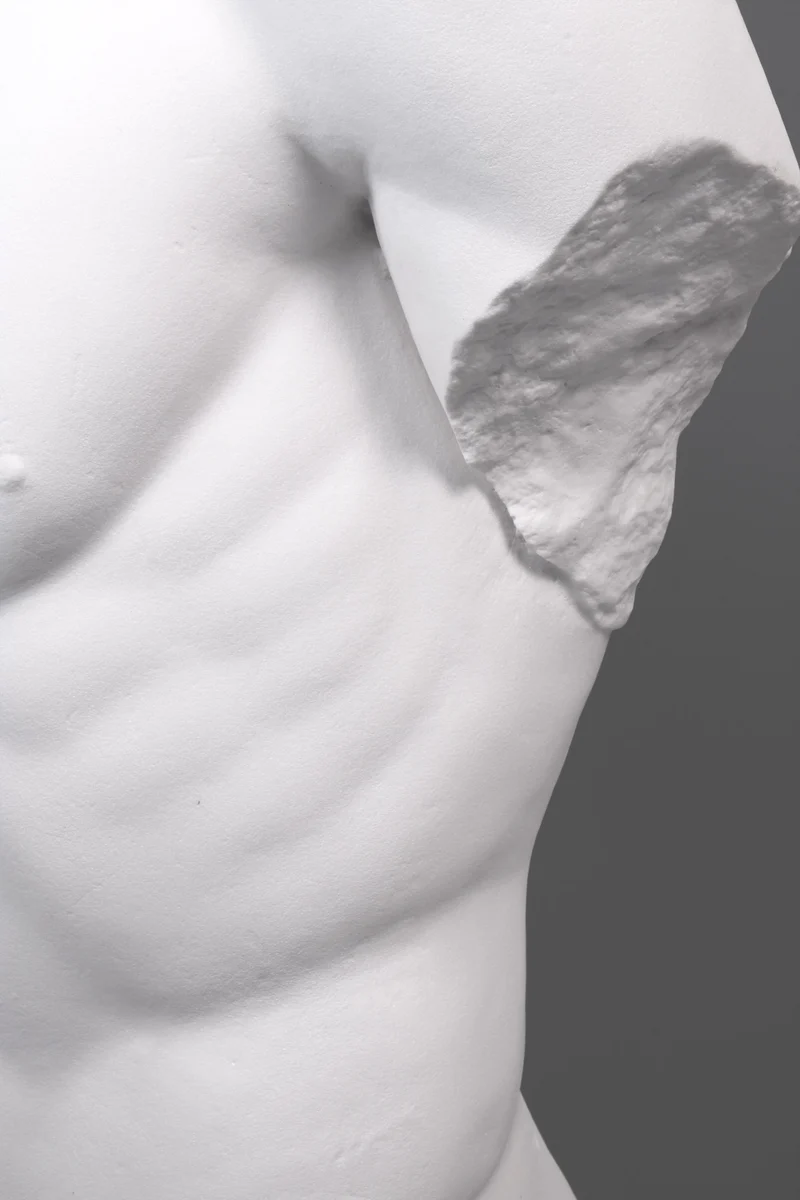 Torse de mâle - grande sculpture en marbre blanc