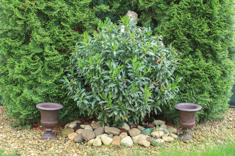 Vase d'extérieur en fer (paire)
