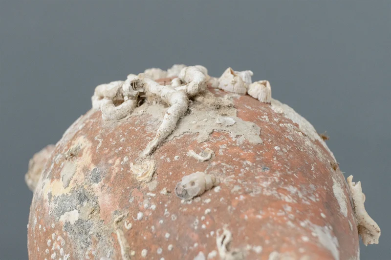 Amphore de mer 'Jordan'