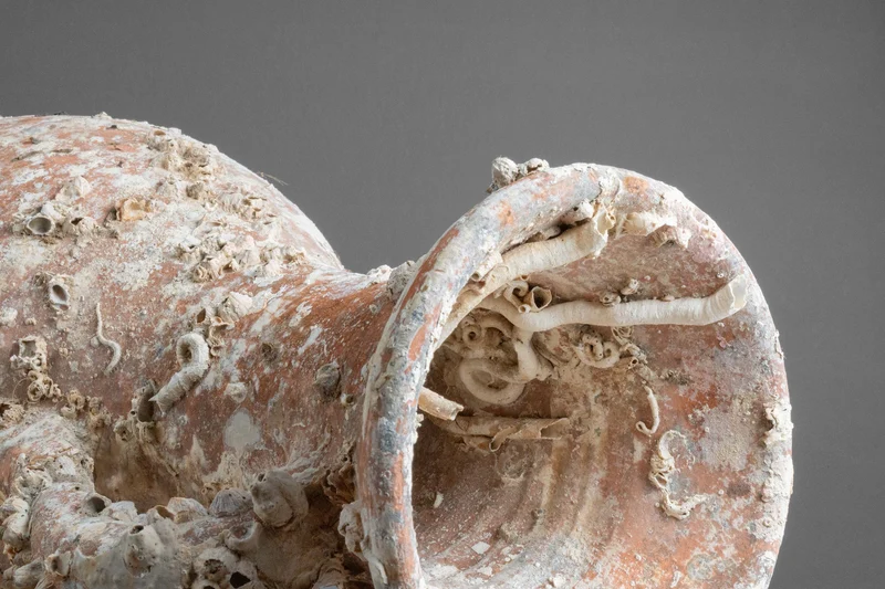 Amphore de mer antique 'Gadir'