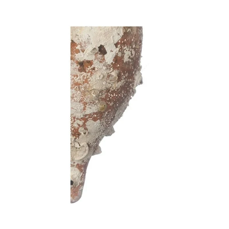 Amphore de mer antique 'Italica'