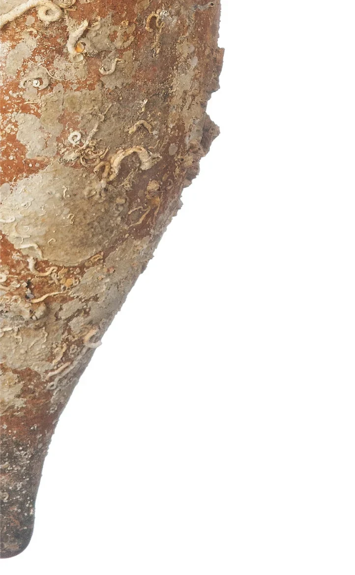 Amphore de mer antique 'Maiorica'