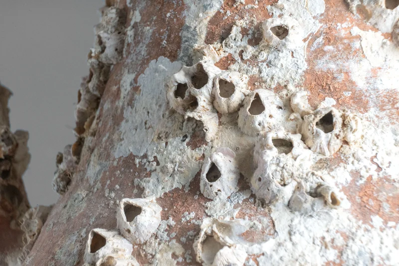 Amphore de mer antique 'Vesuvius'