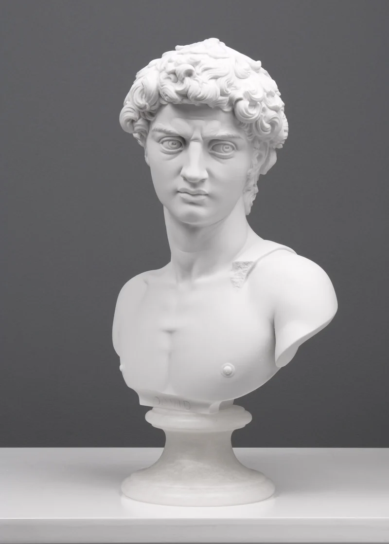 Buste David par Michel-Ange - sculpture en marbre