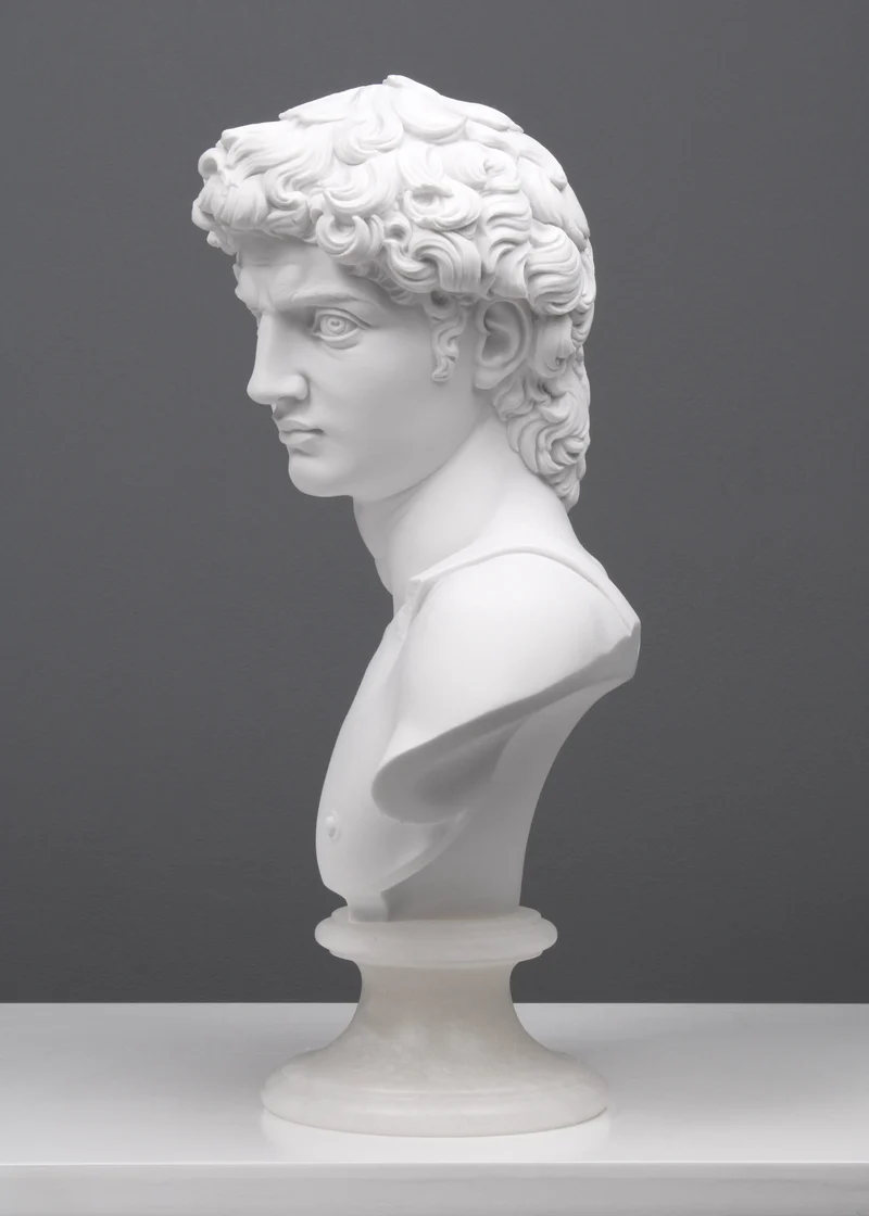 Buste David par Michel-Ange - sculpture en marbre
