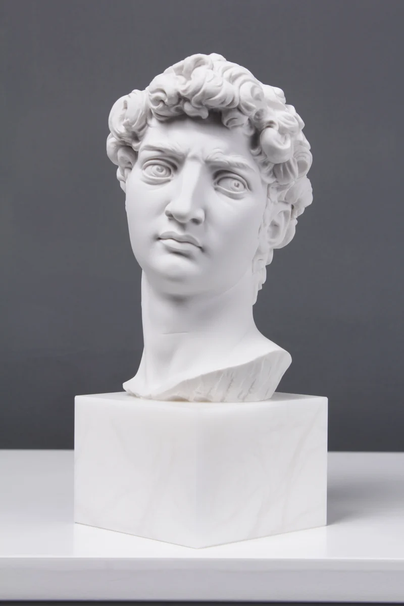 Buste de David (par Michel-Ange) - sculpture en marbre