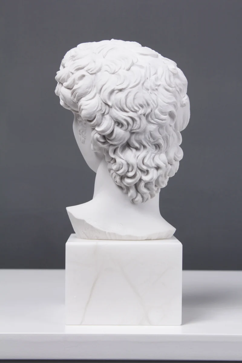Buste de David (par Michel-Ange) - sculpture en marbre