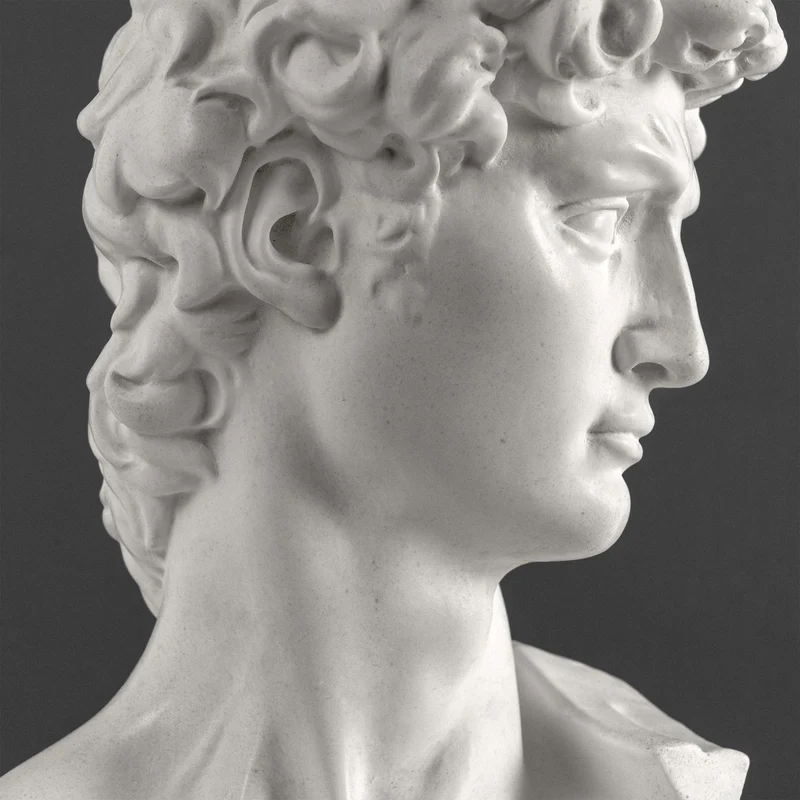Buste de David par Michel-Ange (Grand Modèle)