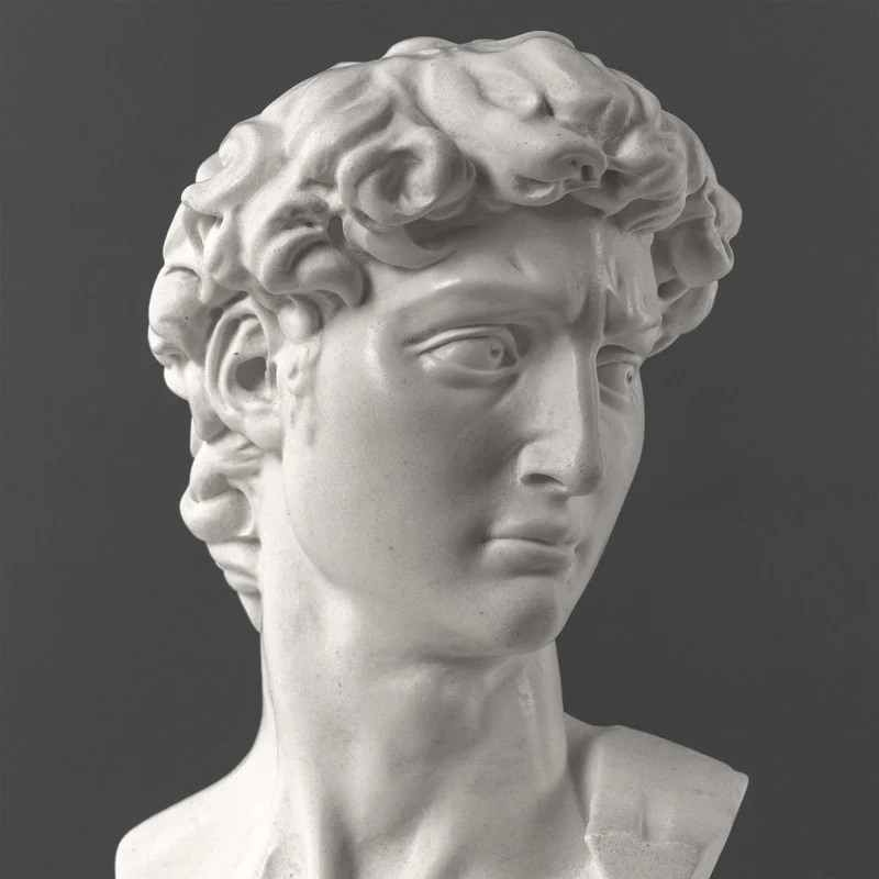 Buste de David par Michel-Ange sur Socle en Marbre Noir (Grand Modèle)