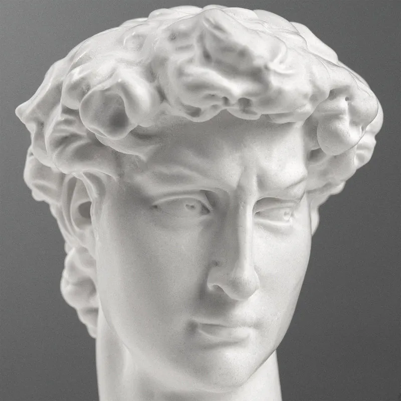 Buste de David par Michel-Ange sur Socle en Marbre Noir (Petit Modèle)