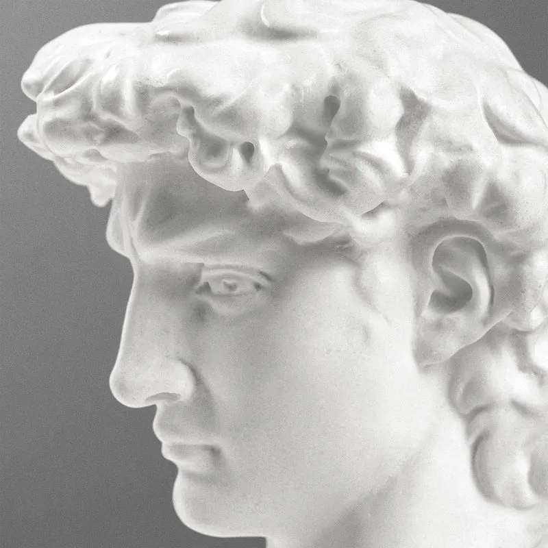 Buste de David par Michel-Ange sur Socle en Marbre Noir (Petit Modèle)