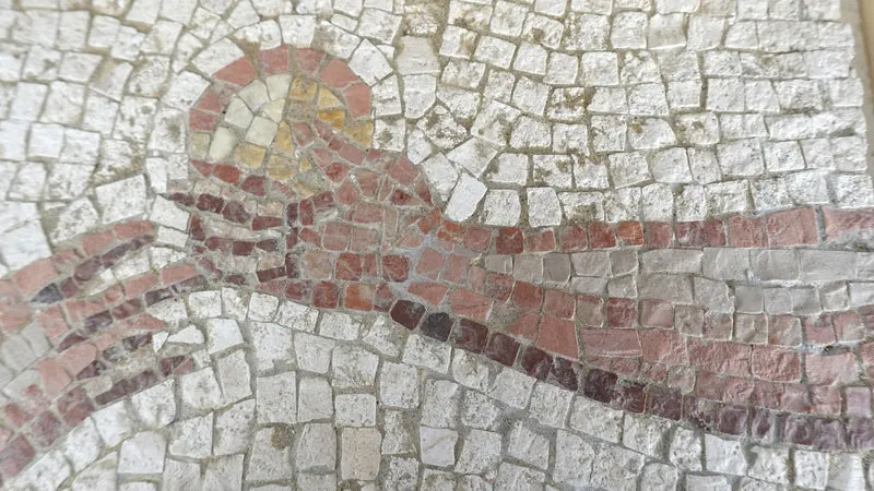 Mosaïque Pomme d'or de la discorde - en marble