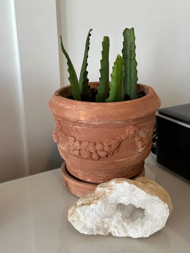 Petit vase de fleurs en terre cuite