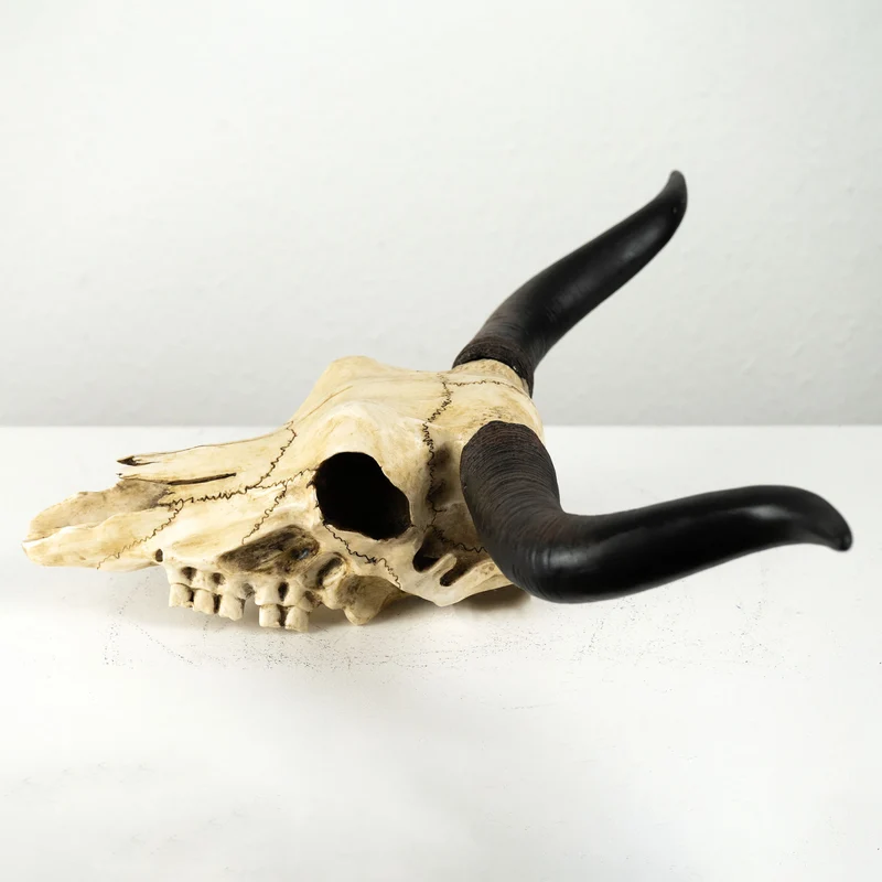 Sculpture Murale de Crane Longhorn (Statue en Resine)