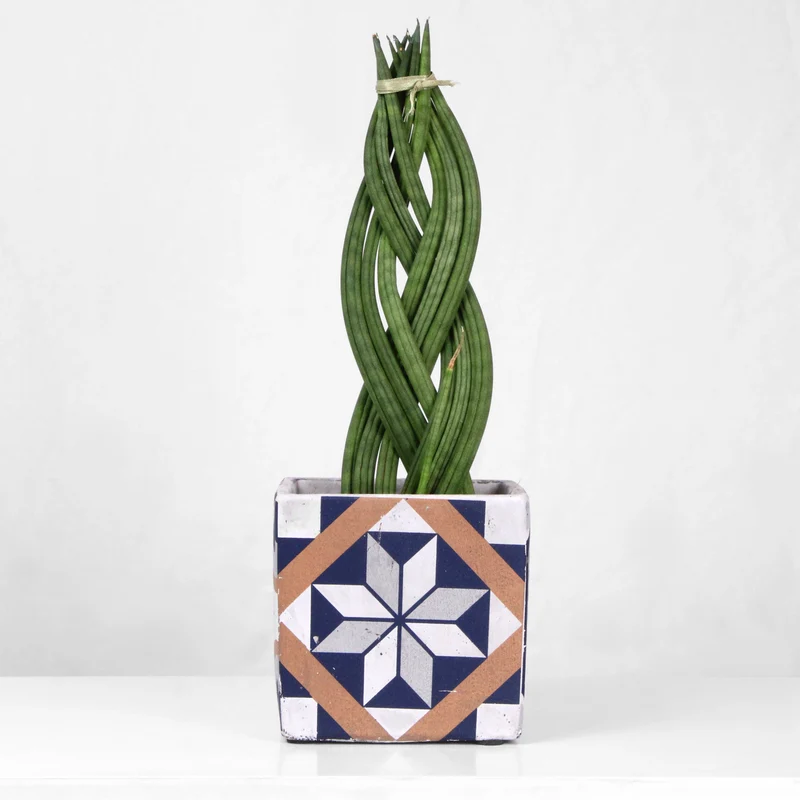 Pot de fleurs méditerranéen (bleu)