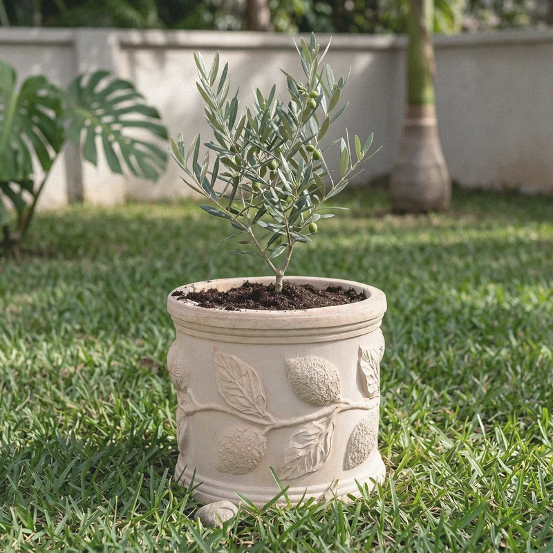 Pot en terre cuite avec relief de citron (Cylindrique)