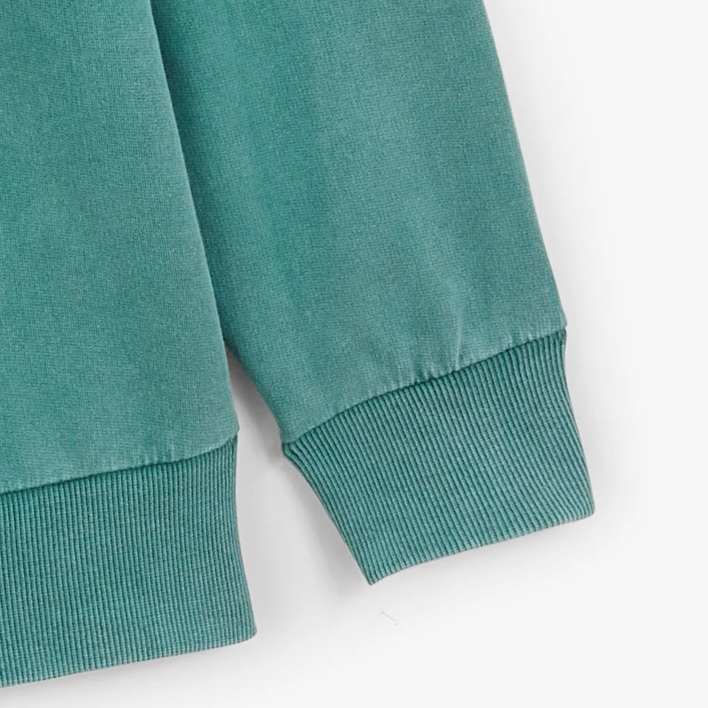 Sweat col rond Archives teinture old en coton vert menthe