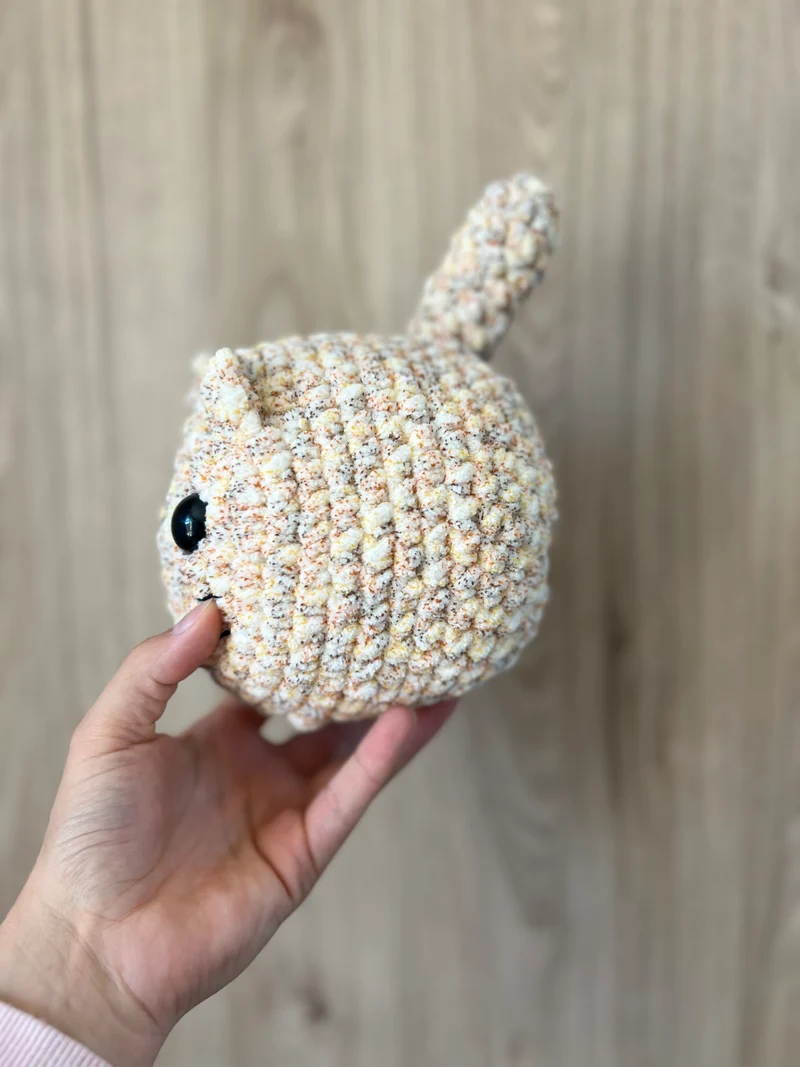 Chat boule