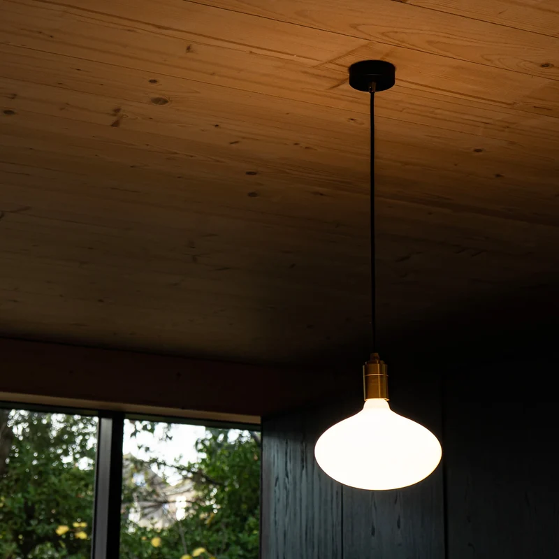 Oval II Pendant Light in Graphite
