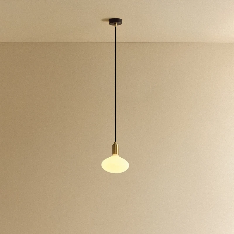 Oval Pendant Light in Brass