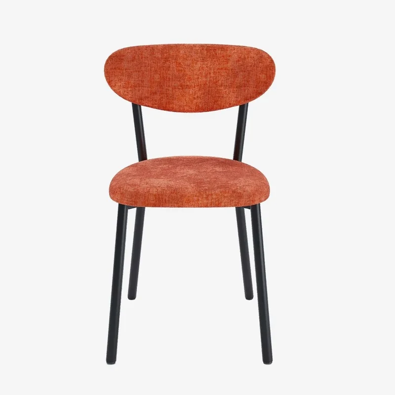 Lot de 2 chaises velours pied métal