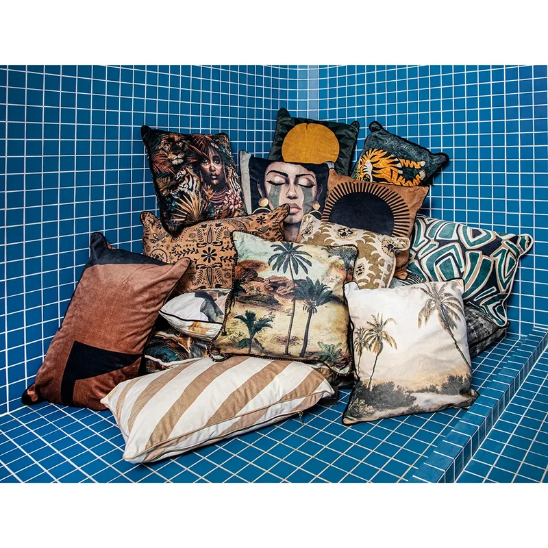 Coussin velours Ivola