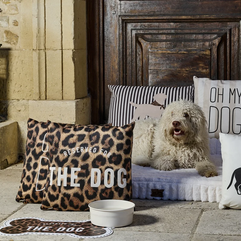 Coussin velours Oh My Dog