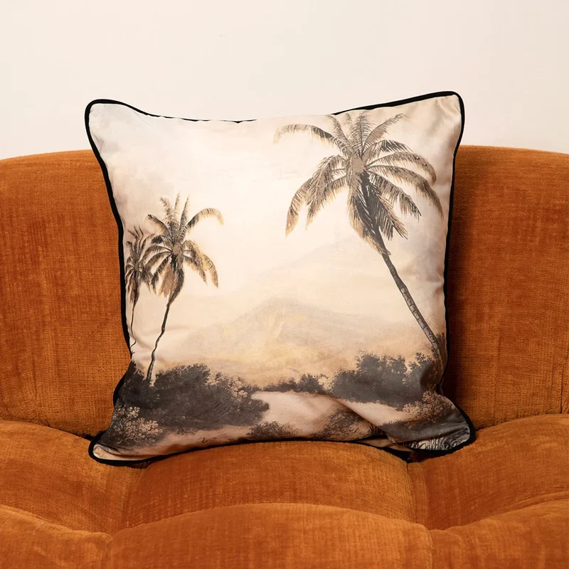 Coussin velours Almou