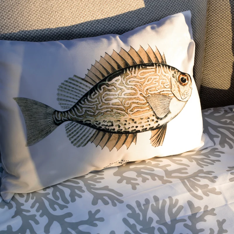 Coussin velours Baladora