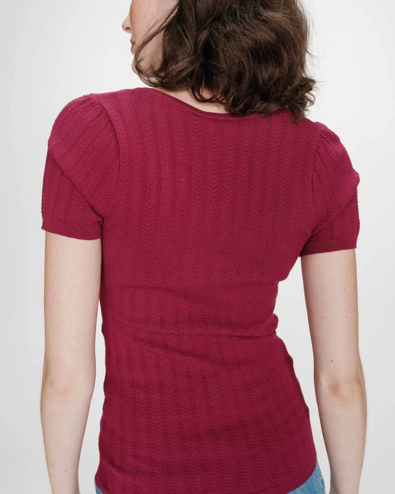 Pull ajusté à fronces manches courtes col V pivoine Velyor