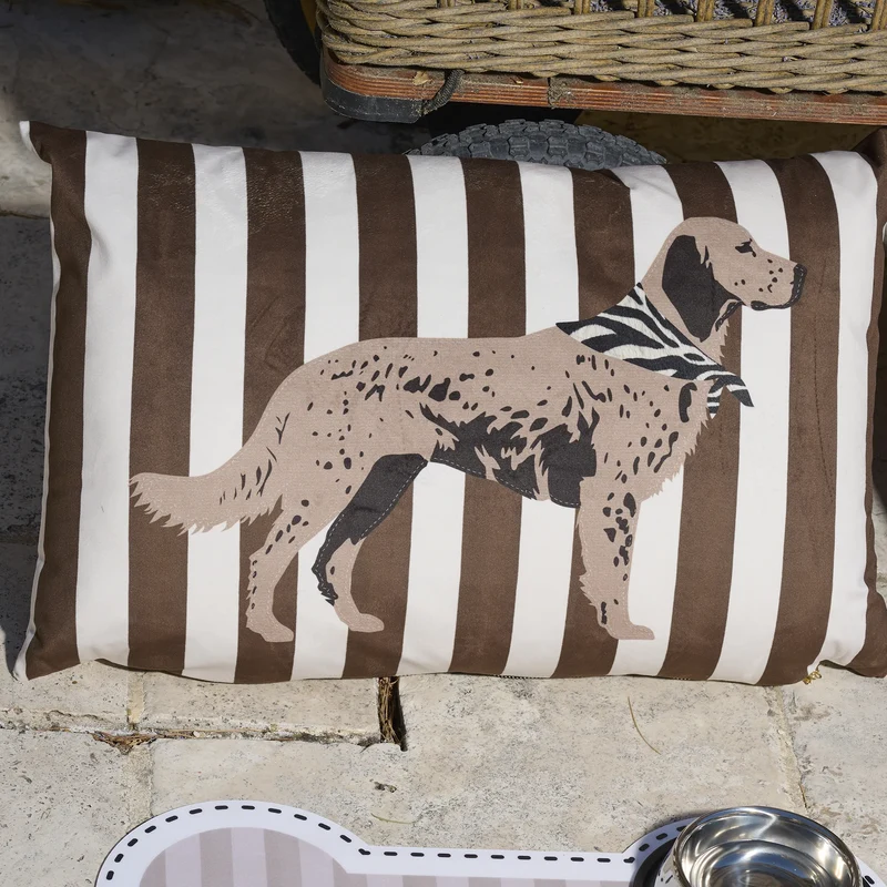Coussin velours Stripes Big Dog