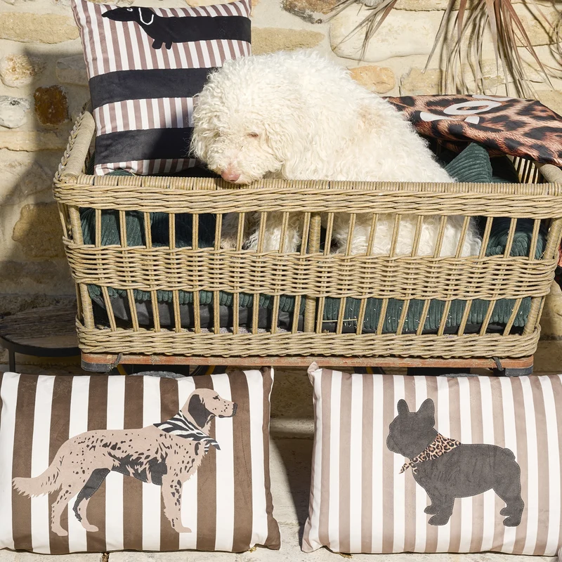 Coussin velours Stripes Bulldog