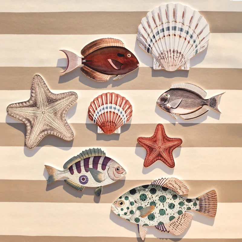 Étoile de mer PVC