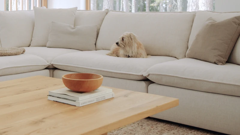 Chill Time 5-Piece Modular U-Shaped Sectional, Birch