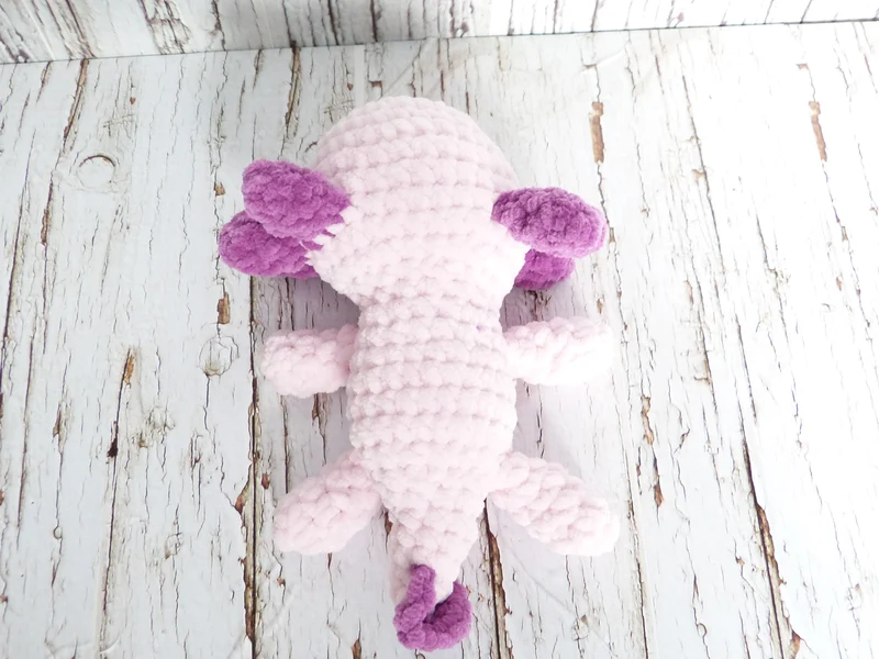 Axolotl