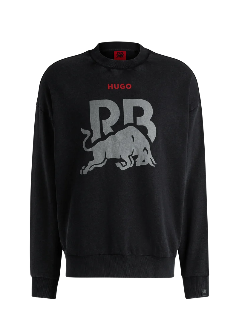Visa Cash App Racing Bulls Washed Pullover