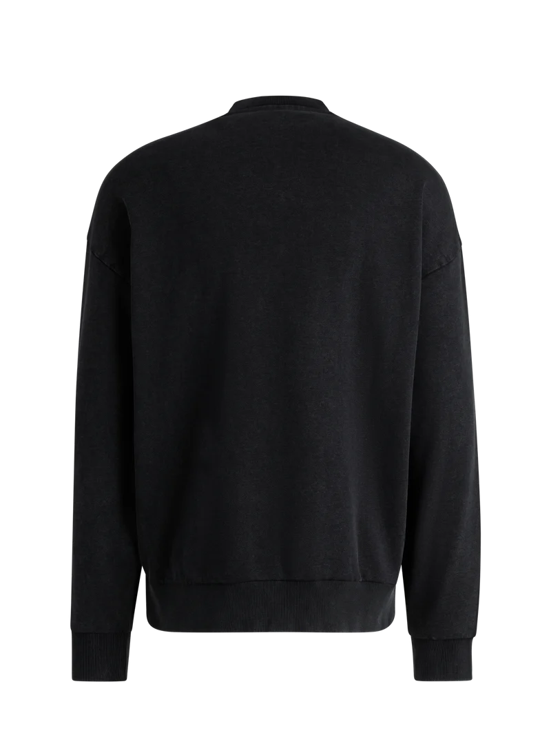 Visa Cash App Racing Bulls Washed Pullover