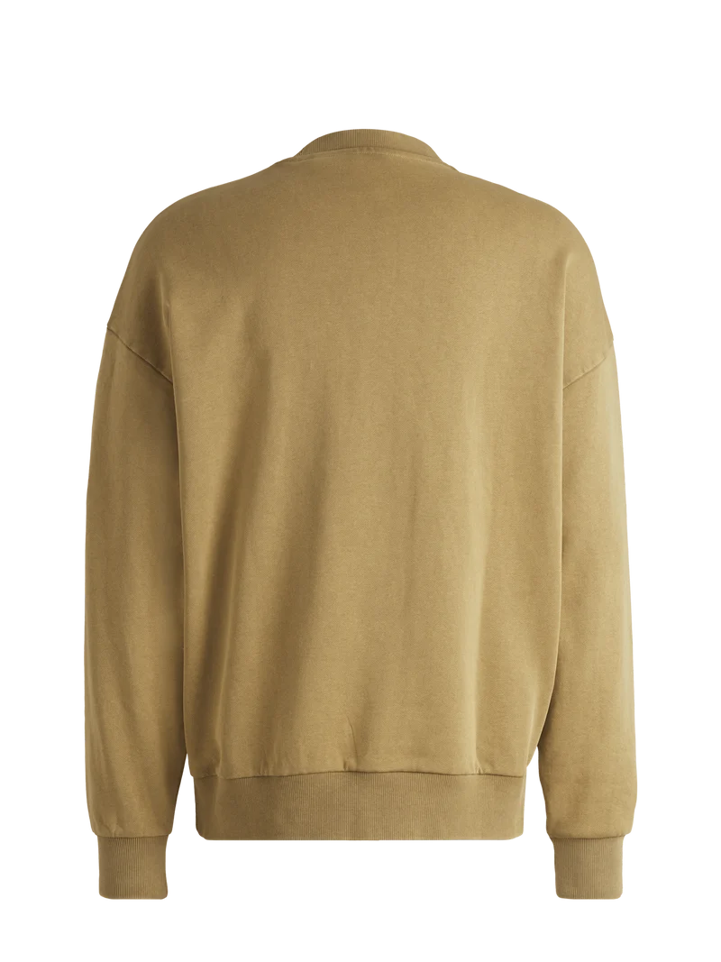 Visa Cash App Racing Bulls Washed Pullover