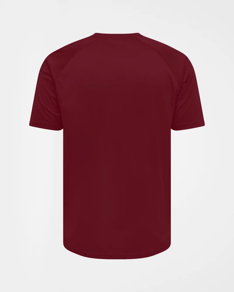 Apes Basics Raglan Oversize T-shirt - Burgundy