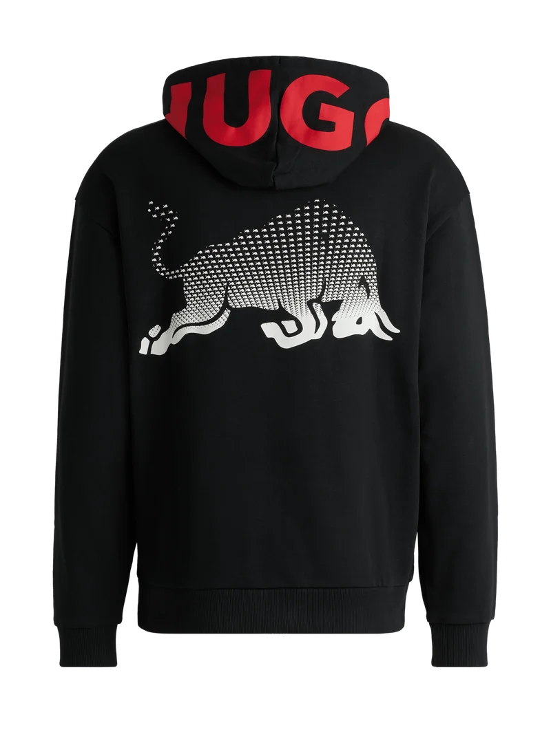 Visa Cash App Racing Bulls Blur Hoodie
