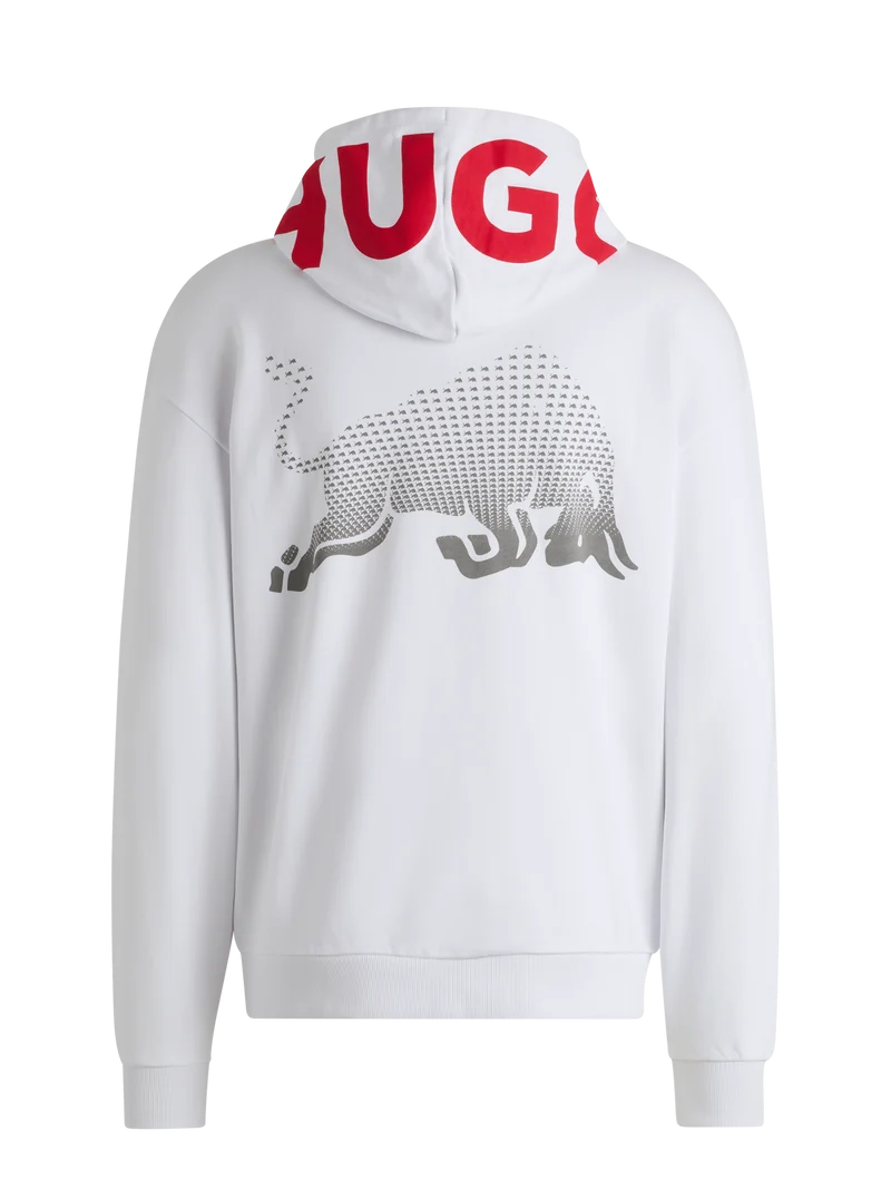 Visa Cash App Racing Bulls Blur Hoodie