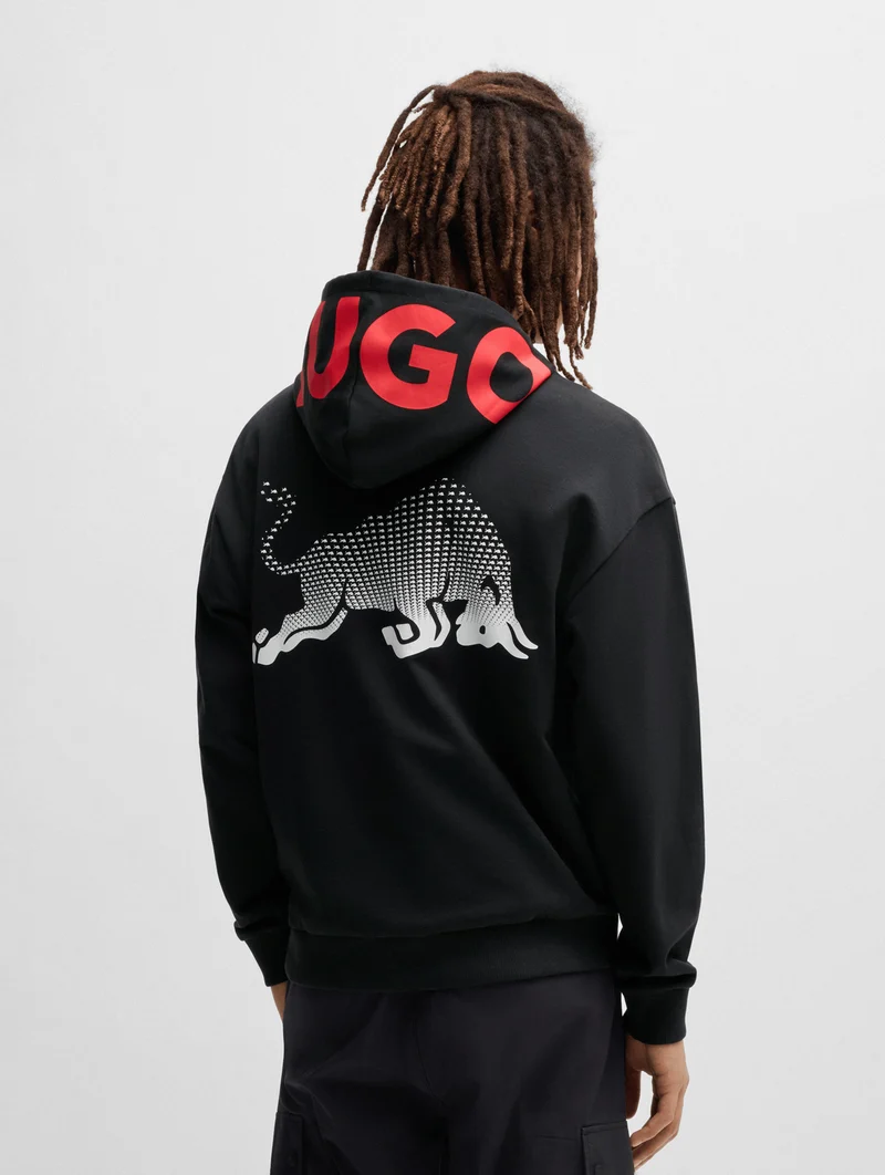 Visa Cash App Racing Bulls Blur Hoodie