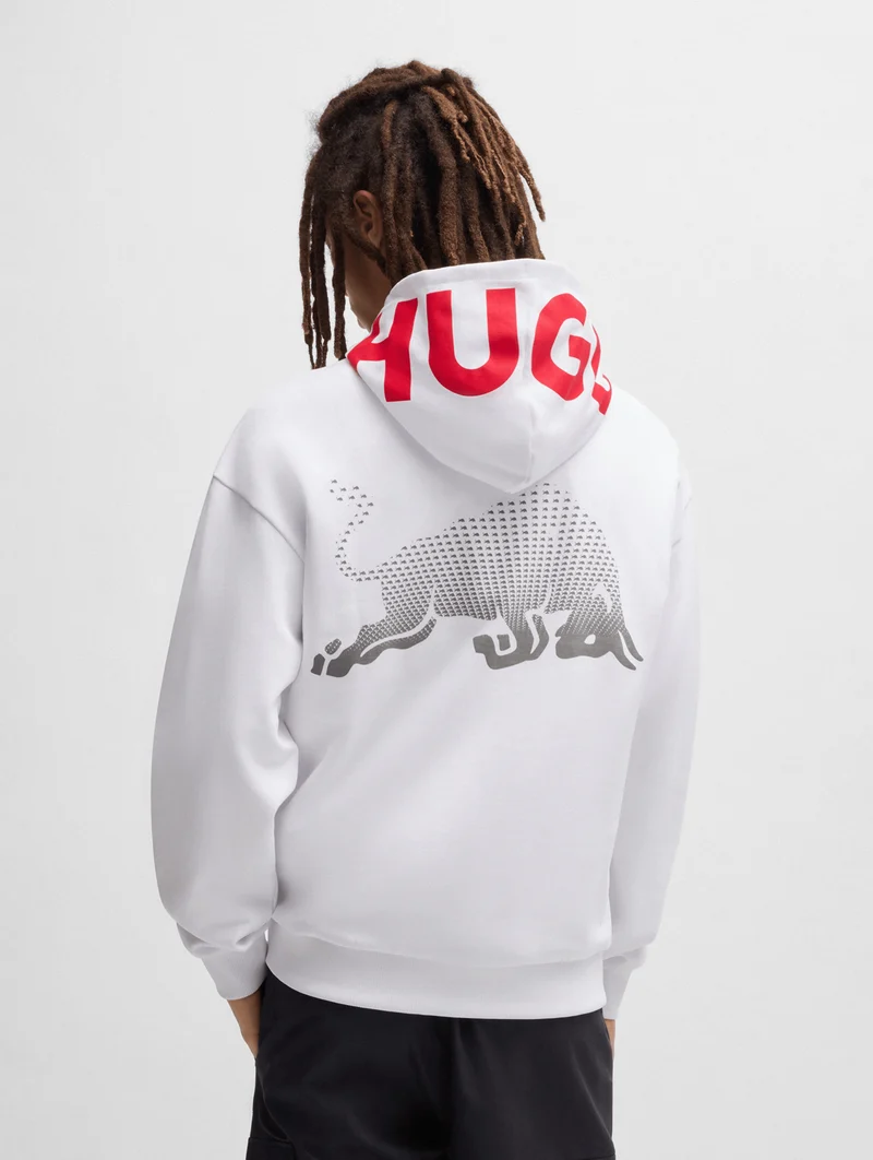 Visa Cash App Racing Bulls Blur Hoodie