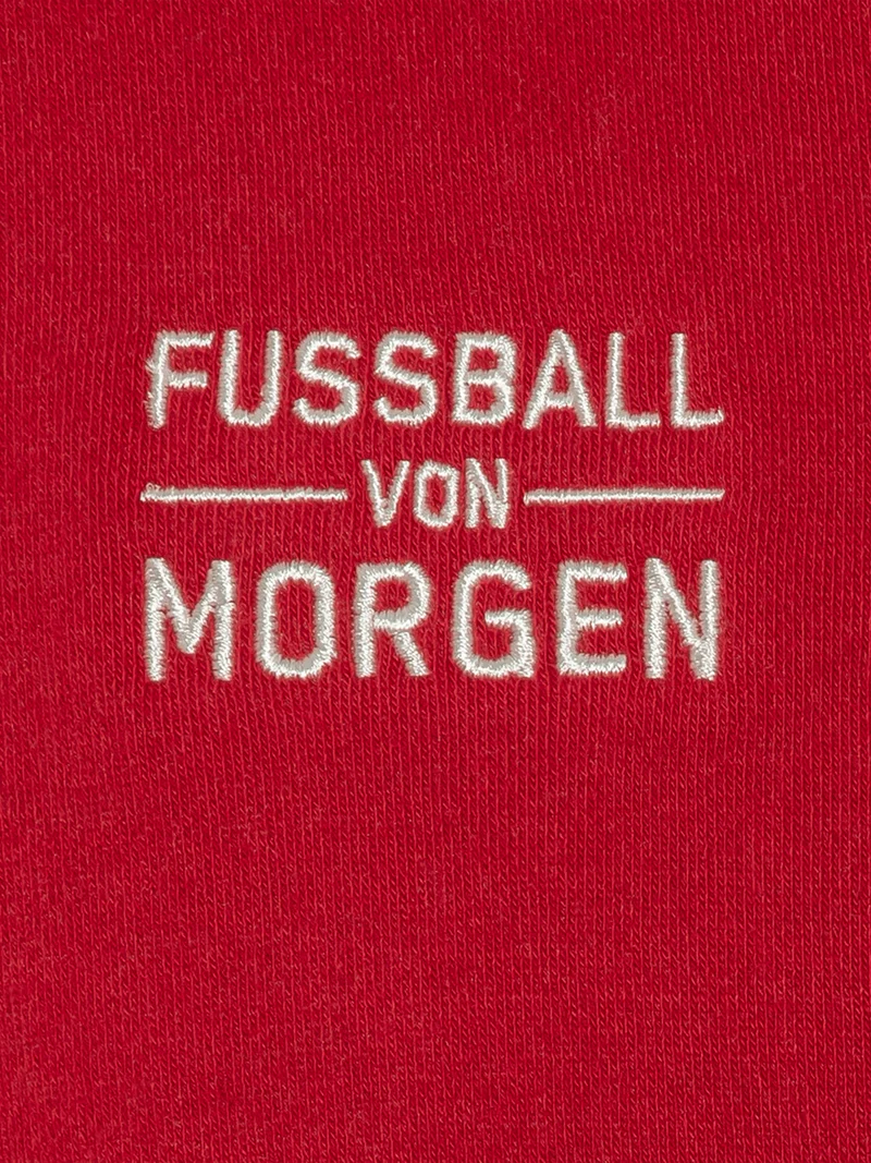 FC Red Bull Salzburg Legacy Hoodie