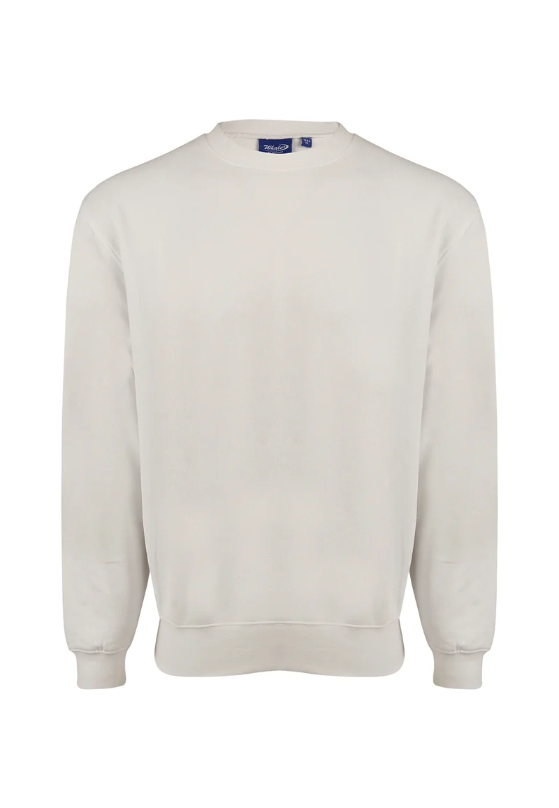 Sweatshirt Whale