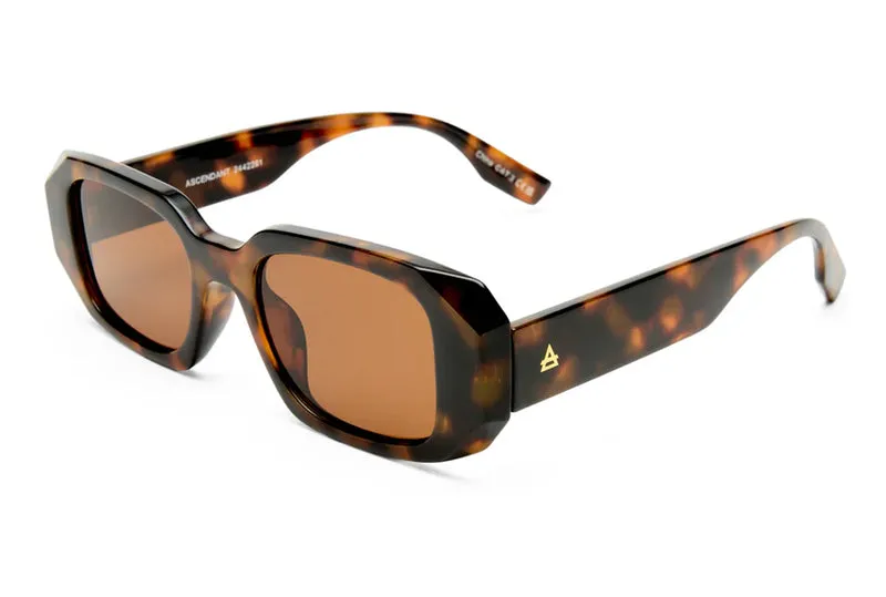 ASCENDANT - LUNETTES DE SOLEIL ÉCLATE FONCÉE