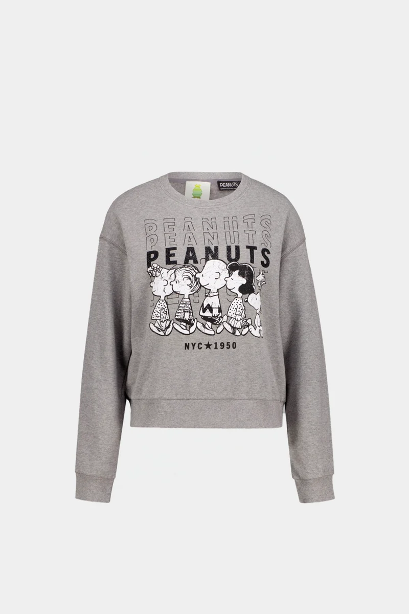 Pull en molleton Peanuts Ny